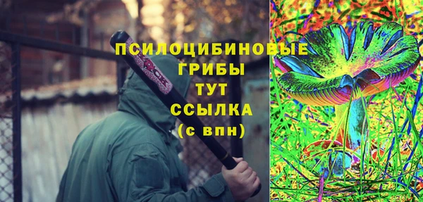 тгк Баксан