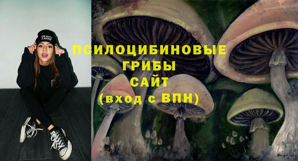 СК Балахна